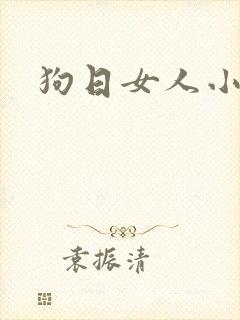 狗日女人小说