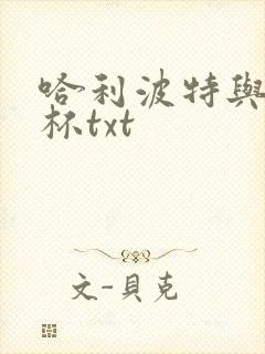 哈利波特与火焰杯txt