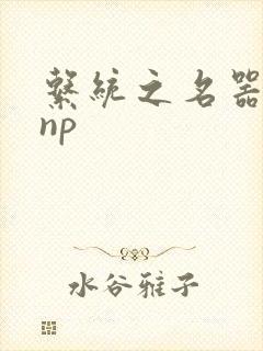 系统之名器攻略np