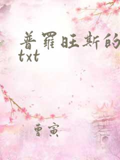 普罗旺斯的一年txt