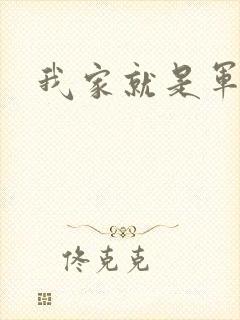我家就是军火铺