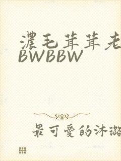 浓毛茸茸老太BBWBBW
