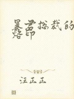 暴君总裁的狂烈烙印