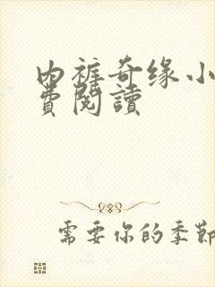 内裤奇缘小说免费阅读