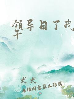领导日了我一下午