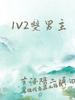 1V2双男主