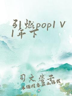 引燃pop1∨1年下