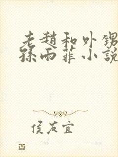 老赵和外甥媳妇孙雨菲小说