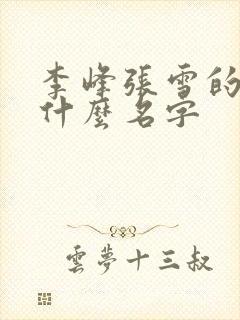 李峰张雪的书叫什么名字