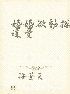 婚婚欲动总裁霸道爱