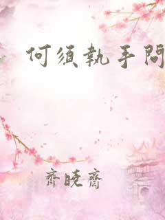 何须执手问年华