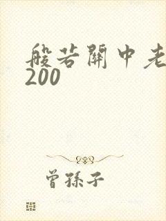 般若关中老人5200