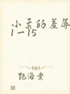 小柔的羞辱日记1一15