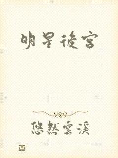 明星后宫