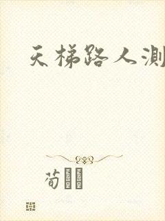天梯路人测试器