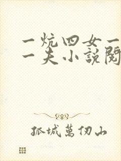 一炕四女一共侍一夫小说阅读
