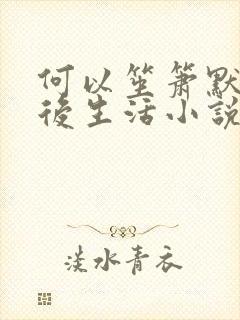 何以笙箫默之婚后生活小说