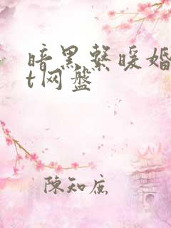 暗黑系暖婚txt网盘