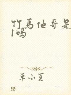 竹马他哥是1v1吗