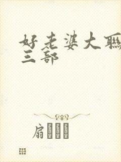 好老婆大联盟第三部