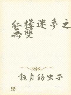 红楼迷梦之国士无双