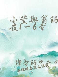 小莹与翁的销魂夜1一6章