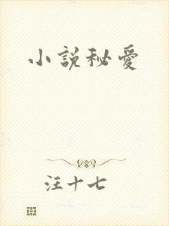 小说秘爱