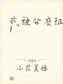 我被公么征服了1