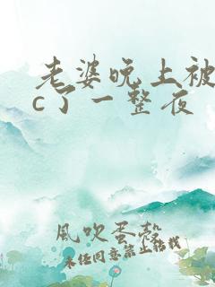 老婆晚上被躁狂c了一整夜