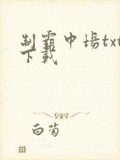 制霸中场txt下载