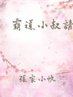 霸道小叔请轻撩