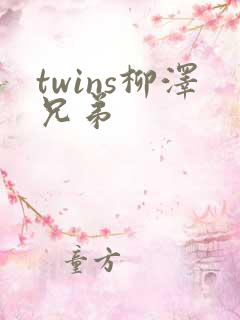 twins柳泽兄弟