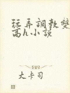 玩弄调教双胞胎高h小说