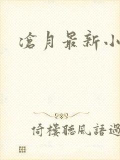沧月最新小说