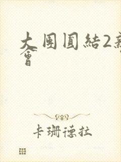 大团圆结2亲情会