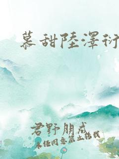 慕甜陆泽衍小说