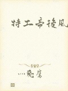 特工帝后风九少