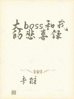 大boss和我的悲喜录
