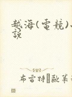 越海(电竞)小说