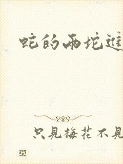 蛇的两坨进不去