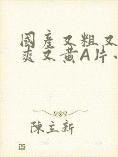 国产又粗又猛又爽又黄A片小说