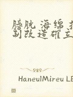 膀胱 海绵 控制改造确立m