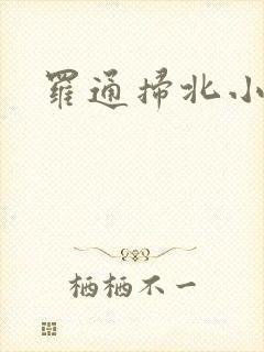 罗通扫北小说