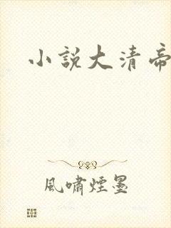 小说大清帝国