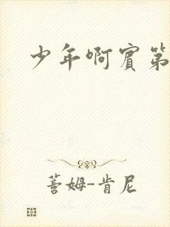 少年啊宾第二部