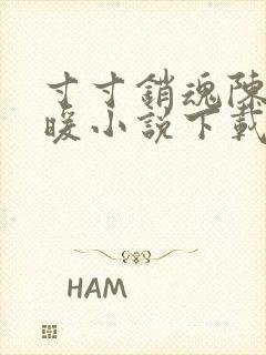 寸寸销魂陈聪王暖小说下载