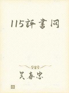 115评书网