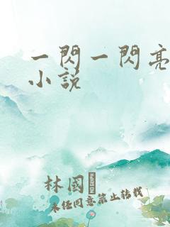 一闪一闪亮星星小说