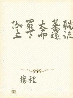 伽罗太华躺在床上下面还流东西