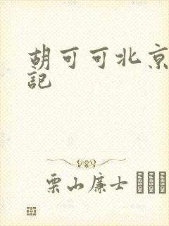 胡可可北京成功记